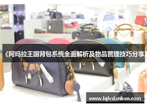 《阿玛拉王国背包系统全面解析及物品管理技巧分享》